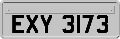 EXY3173