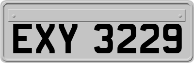 EXY3229