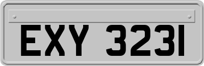 EXY3231