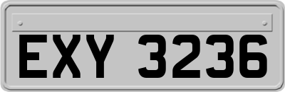 EXY3236