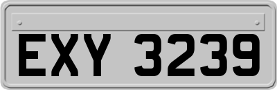 EXY3239
