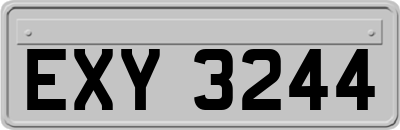 EXY3244