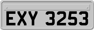 EXY3253