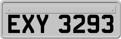 EXY3293