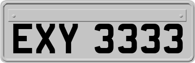 EXY3333