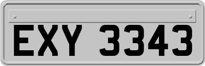 EXY3343