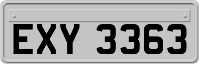 EXY3363