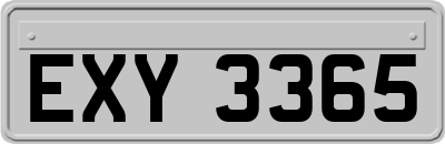 EXY3365