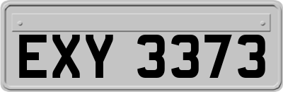 EXY3373