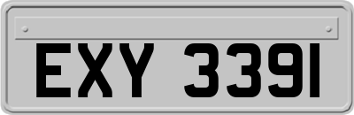 EXY3391