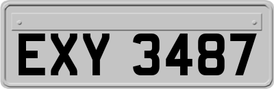EXY3487
