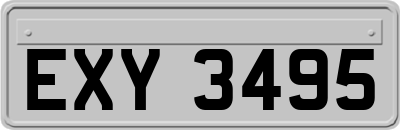 EXY3495