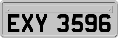 EXY3596