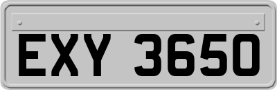 EXY3650