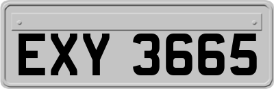 EXY3665