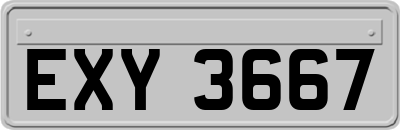 EXY3667