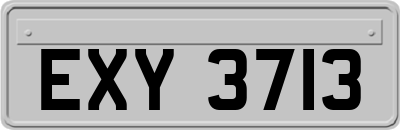 EXY3713