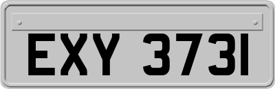 EXY3731
