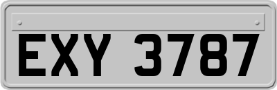 EXY3787