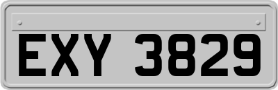 EXY3829