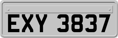 EXY3837