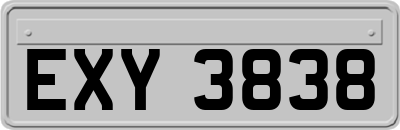 EXY3838