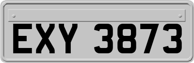 EXY3873