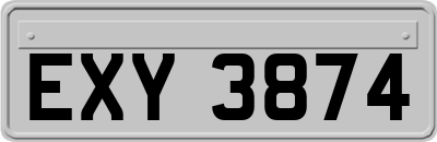 EXY3874