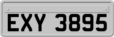 EXY3895