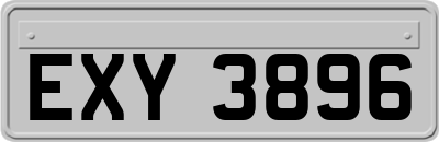 EXY3896