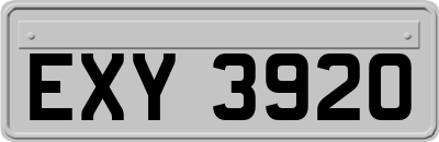 EXY3920