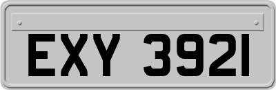 EXY3921
