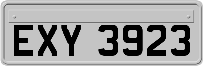 EXY3923