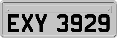 EXY3929