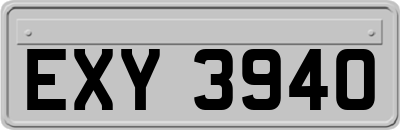 EXY3940
