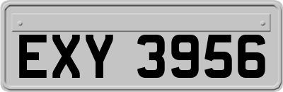 EXY3956