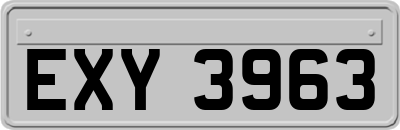 EXY3963