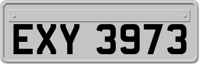 EXY3973