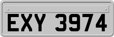 EXY3974