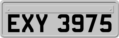 EXY3975