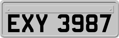 EXY3987