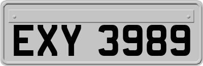 EXY3989