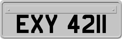 EXY4211