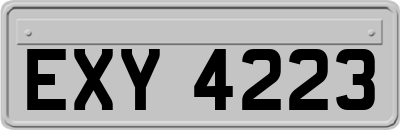 EXY4223