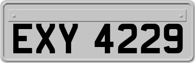 EXY4229