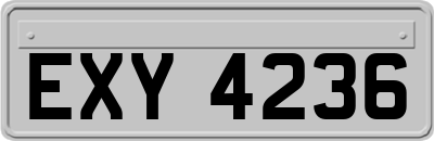 EXY4236