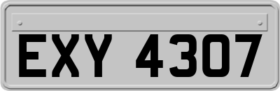 EXY4307