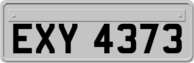 EXY4373