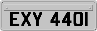EXY4401