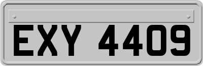 EXY4409